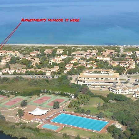 Apartments Mimose Бадеси Экстерьер фото