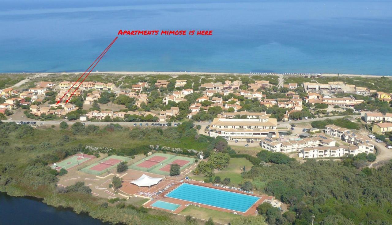 Apartments Mimose Бадеси Экстерьер фото